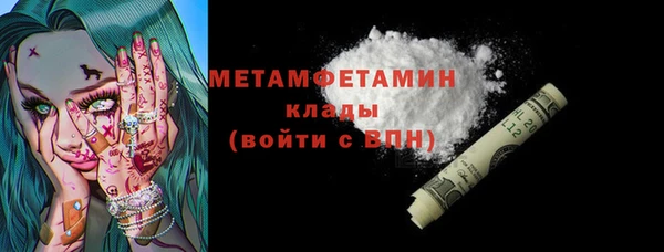 сатива Коряжма