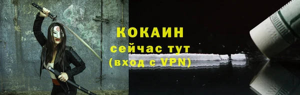 сатива Коряжма