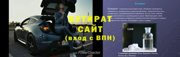 сатива Коряжма