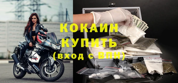 сатива Коряжма