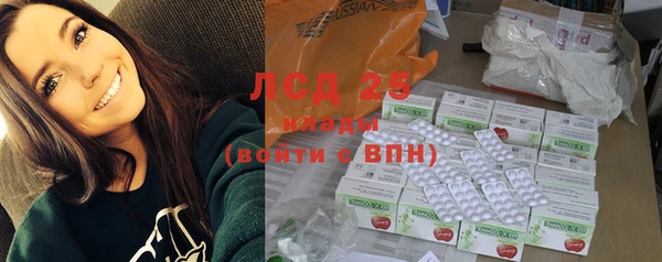 сатива Коряжма