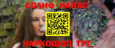прущие грибы Краснознаменск