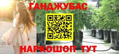 прущие грибы Краснознаменск