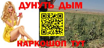 прущие грибы Краснознаменск