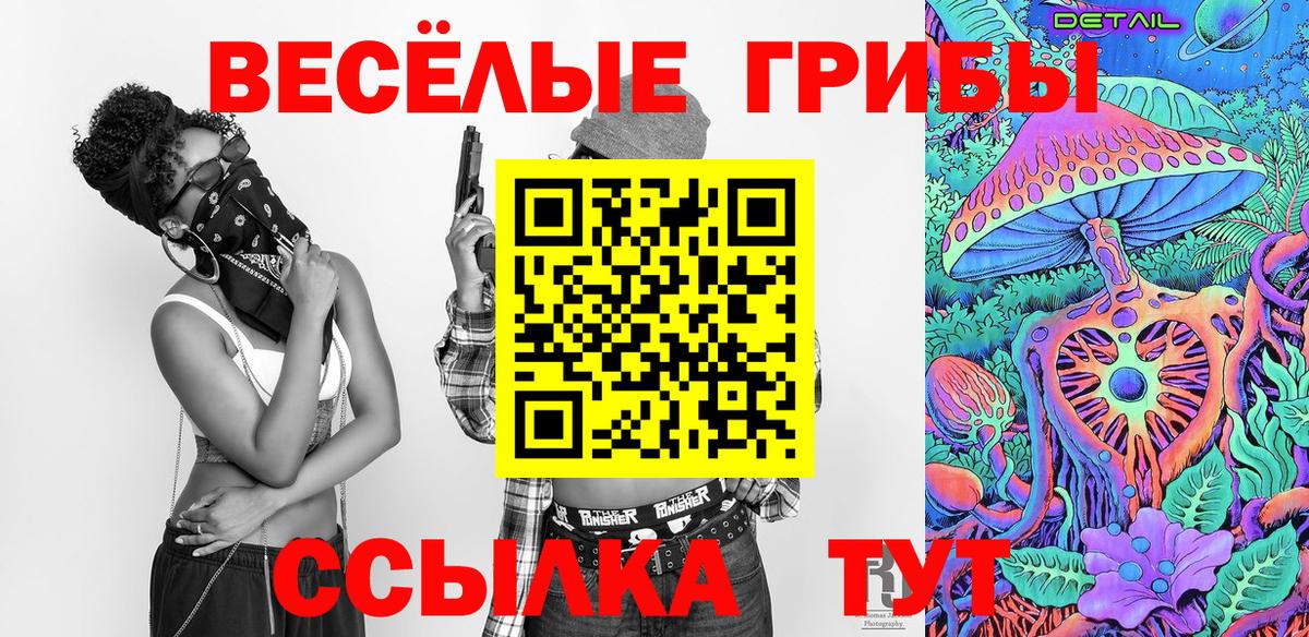Псилоцибиновые грибы Psilocybe  Галлюциногенные грибы прущие грибы  Арзамас  Вход с VPN 