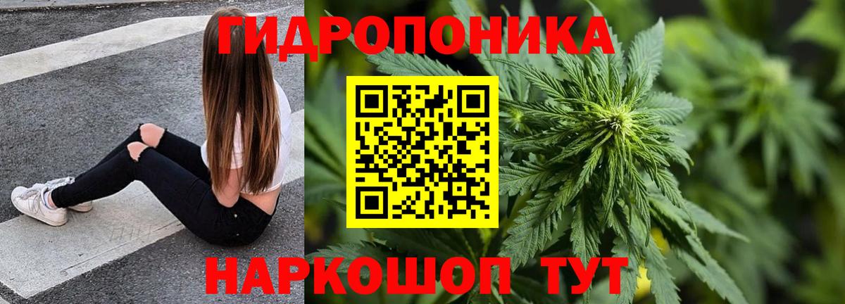Бошки Шишки план Арзамас